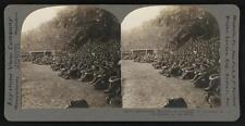 Introducing baseball in Germany USArmy of Occupation on the Rhine Old Photo picture