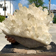 35.64LB  Large Himalayan quartz cluster/white crystal ore Earth specimen picture
