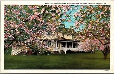 Apple Blossoms Near Winchester Shenandoah Valley VA Virginia WB Postcard UNP VTG picture