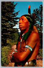 Postcard  Native American Keeping an Eye on Things Barstow California    B 24 picture