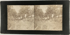 Country Road Walkers, Vintage Print, ca.1890, Stereo Print Came picture