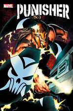 PUNISHER 6 picture