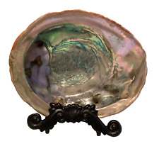 Beautiful Large Vintage Abalone Shell 8