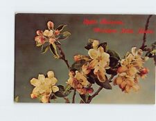 Postcard Apple Blossoms, Michigan State Flower, Michigan picture