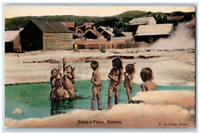 Rotorua North Island New Zealand Postcard Catch-a-Penny c1910 Unposted picture
