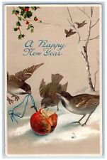 Littleton Colorado CO Postcard Birds Eating Apple Holly Berries Winter Embossed picture