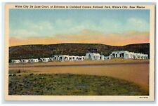 1940 White City De Luxe Court Entrance Carlsbad Cavern National Park NM Postcard picture
