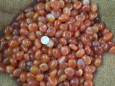 2000 Carat Lots of Polished Tumbled Carnelian + FREE Faceted Gemstone - HIGH END picture