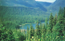 Alaska AK, Tongass National Forest, Sierra Club Legal Defense Fund, Vtg Postcard picture