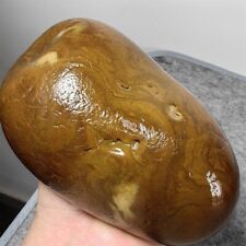1100g Bonsai Suiseki-Natural Gobi Agate Eyes Stone-Rare Stunning Viewing S362 picture