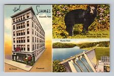 Knoxville TN-Tennessee, Hotel St James, Advertising, Antique Vintage Postcard picture
