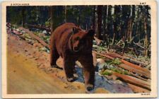 Postcard - A Hitch-Hiker picture