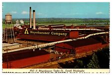 Mill B Weyerhaeuser Timber Company Everett Washington WA Continental  Postcard picture