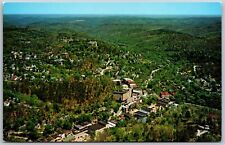 Vtg Eureka Springs Arkansas AR Business District City Aerial View Postcard picture
