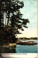 Picturesque American Thousand Islands NY Undivided Unused Postcard c1905 picture