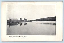 Pelican Rapids Minnesota MN Postcard View Lake Building Trees Scene 1907 Vintage picture