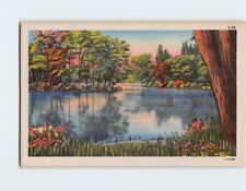 Postcard Lake Flowers Trees Nature Scenery picture