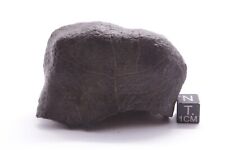 Meteorite NWA Chondrite meteorite large meteorite 188 grams picture