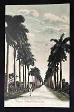 Cuban photo-postcard  Avenue of Royal Palms Avenida Palmas Reales Cuba picture