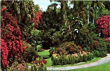Florida Sundken Gardens St Petersburg Flowers Stone Sidewalk UNP VNG Postcard picture