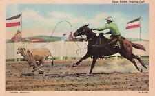 Vintage Postcard Rodeo Horse Sports Jiggs Burke Calf Roping Curt Teich 581 picture