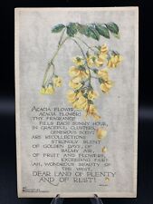 ACACIA FLOWER - 1913, P. F. Volland & Co., Antique Postcard, unused, very rare picture