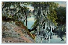 1916 Scene Of St. Johns River View Near Sanford Florida FL Posted Trees Postcard picture