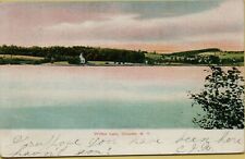 1907 Landscape Shoreline View Wilber Lake Oneonta NY Postcard C46 picture