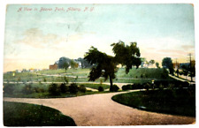 Albany NY- New York, View In Beaver Park, Antique, Vintage c1909 Postcard picture