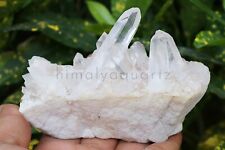 335 gm Natural White Crystal Quartz Cluster Specimen Healing Stone Home Decor picture