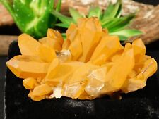 100% Natural GOLDEN Healer Quartz Crystal Cluster Brazil 198gr picture
