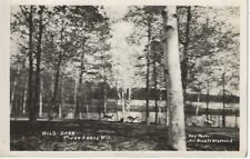 RPPC Three  Lakes Wi Wild Deer running mailed 1937 picture