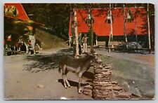 Postcard NY Wilmington Santa's Reindeer Barn Donkey North Pole A22 picture