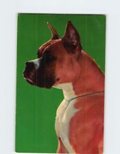 Postcard Boxer Dog picture