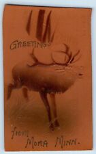 Mora Minnesota MN Postcard Greetings Message From Mora Elk Animal Scene Vintage picture