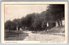 COTTAGE ROW ALLEGHENY SPRINGS, PA. 1908 RPPC VINTAGE POSTCARD picture