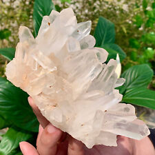 1.5LB A+++Large Natural white Crystal Himalayan quartz cluster /mineralsls picture