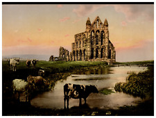 England. Yorkshire. Whitby. The Abbey II.  Vintage Photochrome by P.Z, Photoch picture