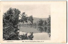 View of Chemung River, Elmira, New York - c1905 UDB Postcard picture
