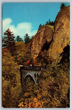 Oregon Columbia River Highway Shepherd's Dell Bridge Postcard picture