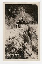RPPC The Switzer Land Limited Donkeys Riding Up Mountain AZO Real Photo Postcard picture