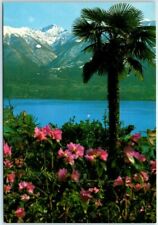 Postcard - Lake Maggiore, Locarno, Switzerland picture