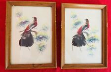 Mexico Feather Art Craft Exotic Birds Pictures 5 x 7 Craft Vintage picture