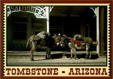 burros Freddie Mary Lucky Cuss Saloon Tombstone Arizona Jack H postcard picture