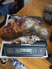 Crazy Lace Agate Mexico, Large Slab Old stock 459 Grams, 1 LBS (7in X 5 X 3/8in) picture