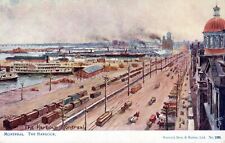 MONTREAL QC - The Harbour Flower Signed Tuck Postcard picture