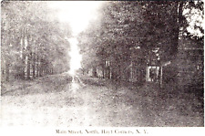 Hayts Corners, NY, Main Street, c1908, Post Card  #633 picture