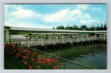 Orlando FL-Florida, Gatorland, Alligator Farm & Zoo, Antique, Vintage Postcard picture