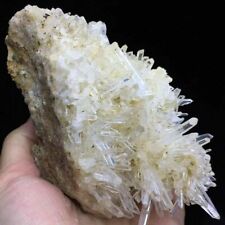 185g Extreme Transparent White Quartz Crystal Cluster Mineral Specimen picture