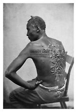 AFRICAN AMERICAN SLAVE ENSLAVED MANS SCARRED BACK 1863 4X6 PHOTO picture